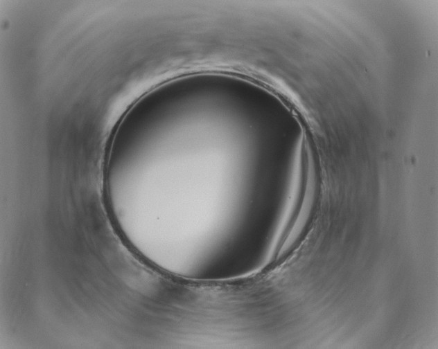 X0000089881512200706281337