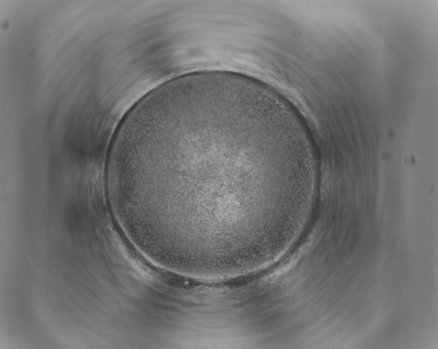 X0000089881513200706281337