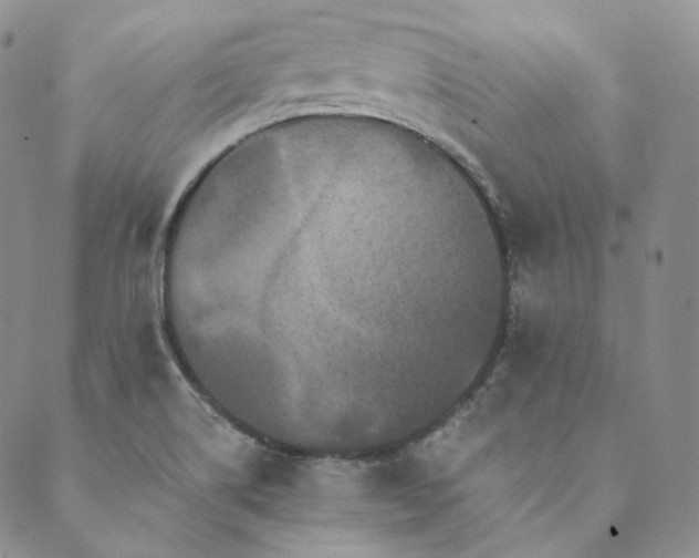 X0000089881514200706281337