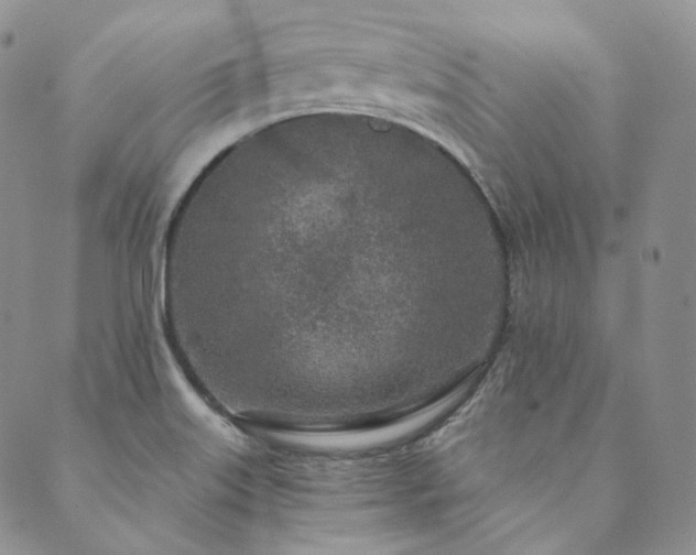 X0000089881515200706281337