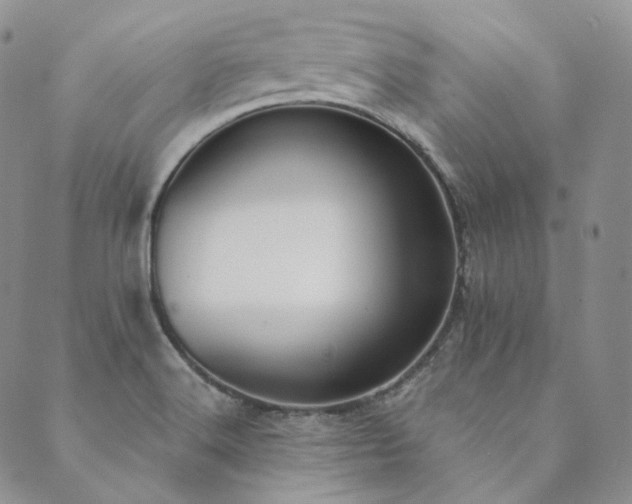 X0000089881516200706281337