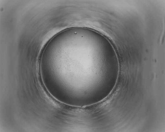 X0000089881517200706281337