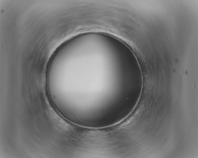 X0000089881518200706281337