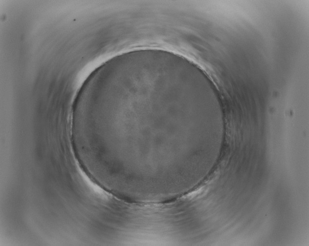 X0000089881519200706281337