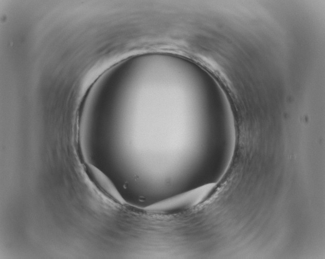 X0000089881520200706281337