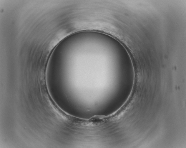 X0000089881521200706281337