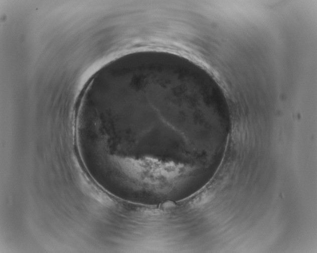 X0000089881522200706281337