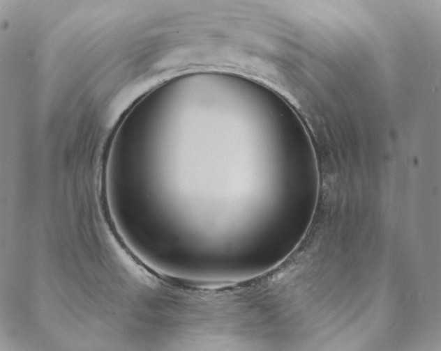 X0000089881523200706281337