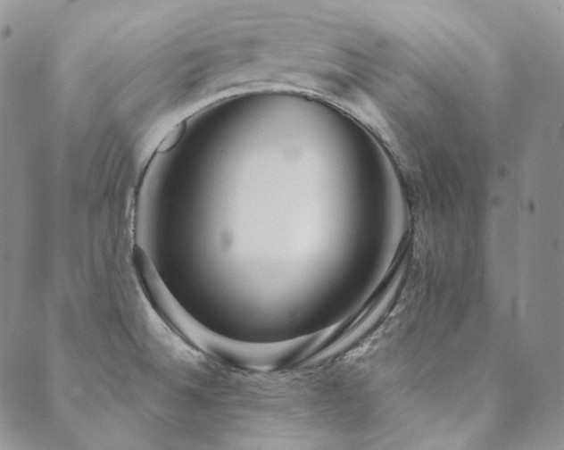 X0000089881524200706281337