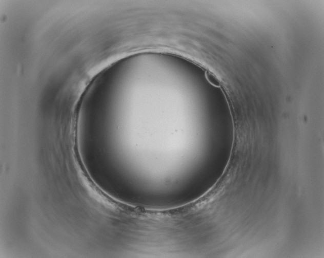 X0000089881526200706281337