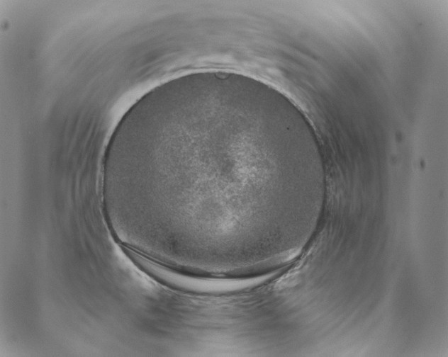 X0000089881527200706281337