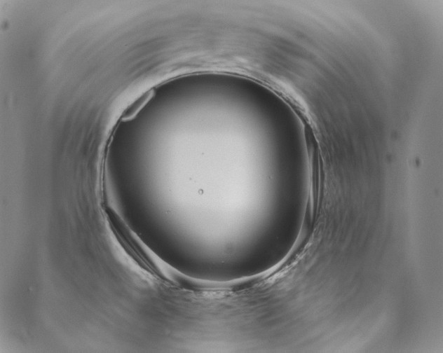 X0000089881528200706281337