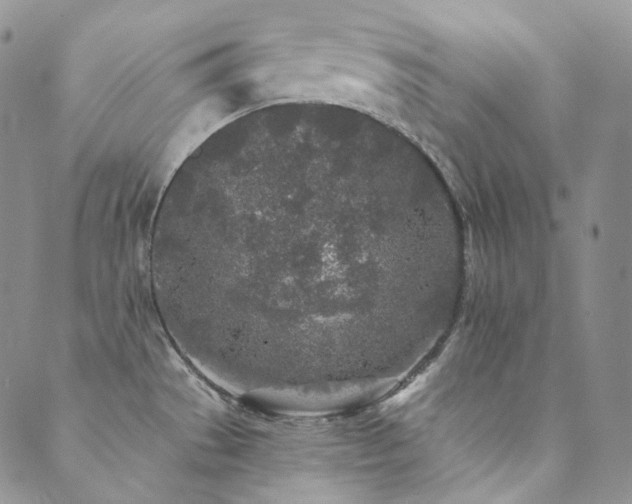 X0000089881529200706281337