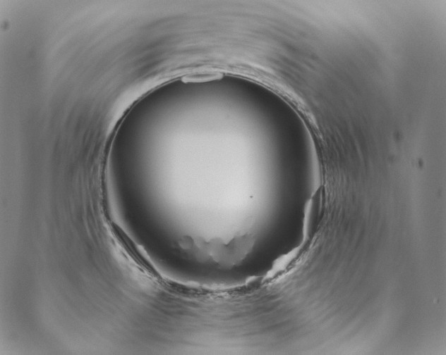 X0000089881530200706281337