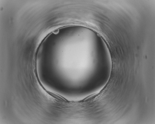 X0000089881531200706281337