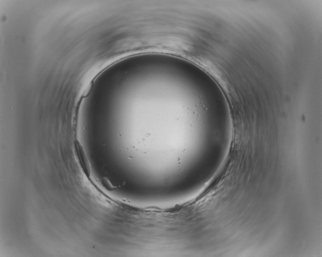 X0000089881532200706281337