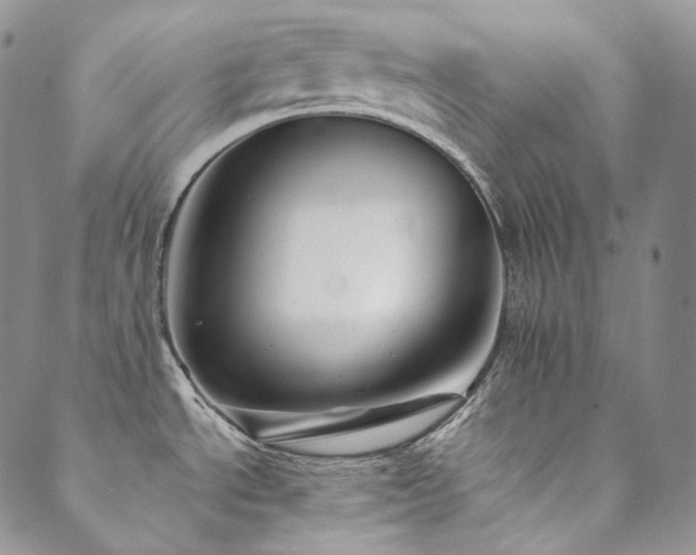 X0000089881534200706281337