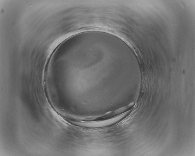 X0000089881535200706281337