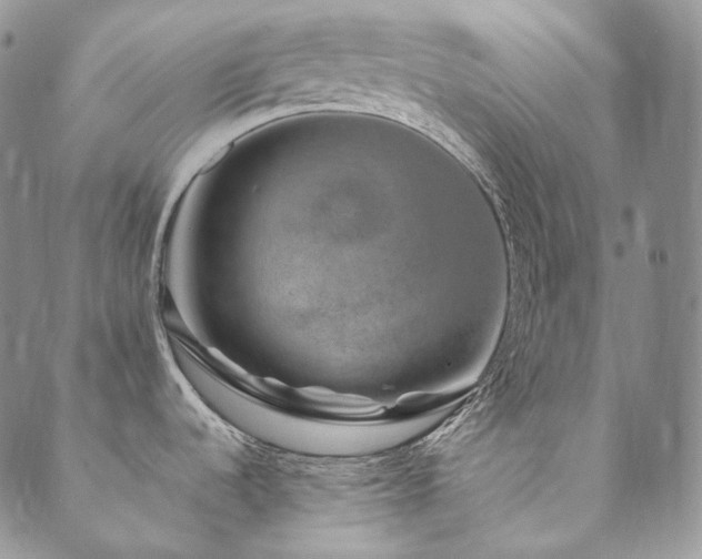 X0000089881536200706281337