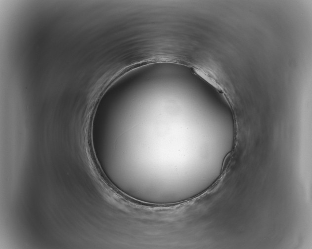 X0000089880001200707051218