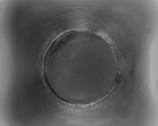 X0000089880002200707051218