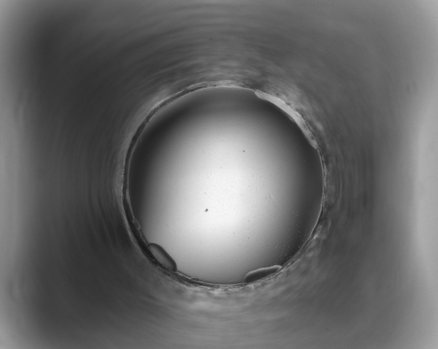 X0000089880003200707051218