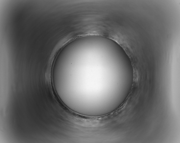 X0000089880004200707051218