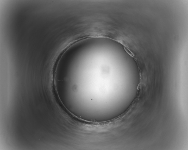 X0000089880005200707051218