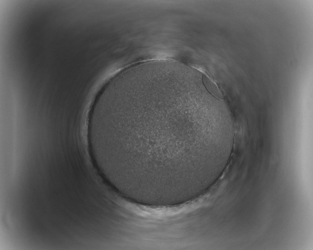 X0000089880006200707051218