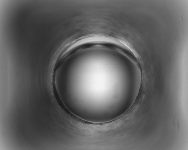 X0000089880007200707051218