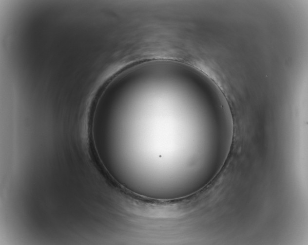 X0000089880008200707051218