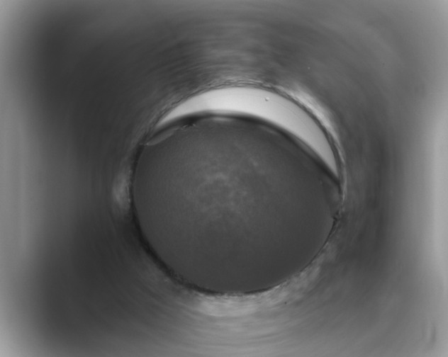 X0000089880009200707051218