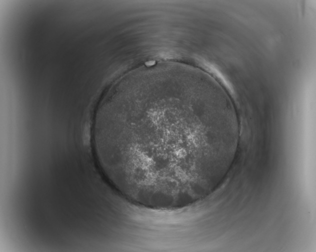 X0000089880010200707051218