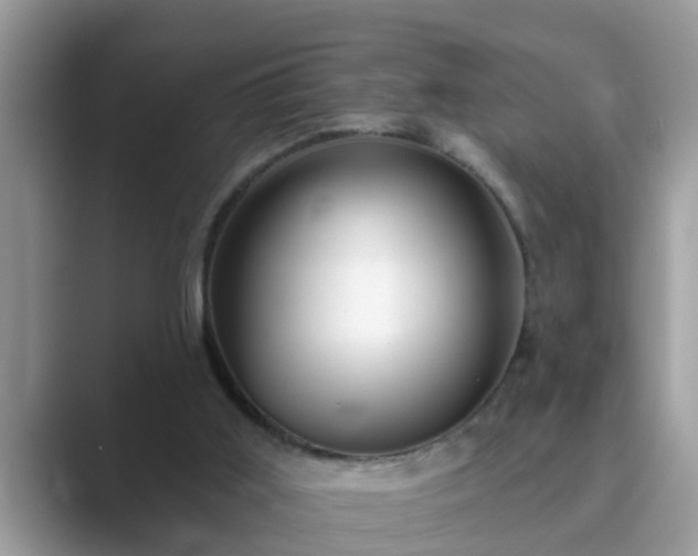 X0000089880011200707051218