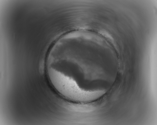 X0000089880012200707051218