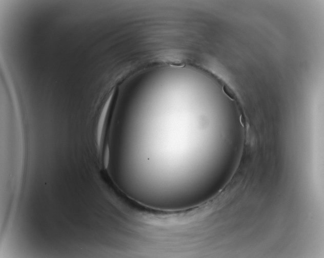 X0000089880013200707051218