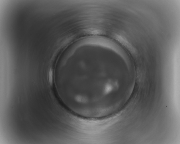 X0000089880014200707051218