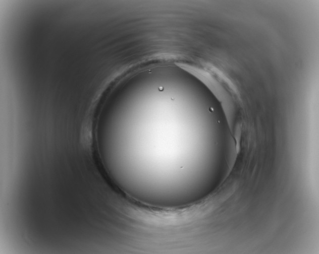 X0000089880015200707051218