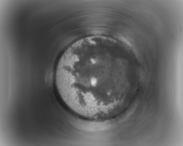 X0000089880016200707051218