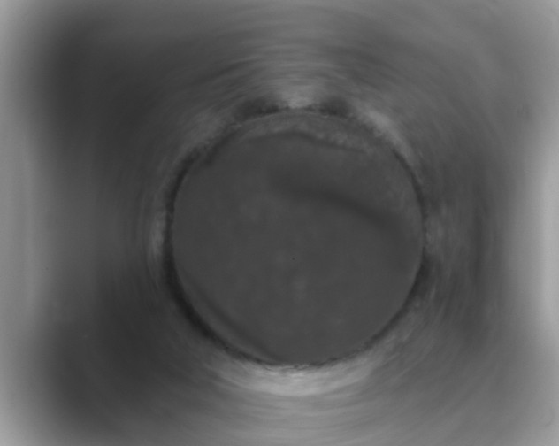 X0000089880018200707051218