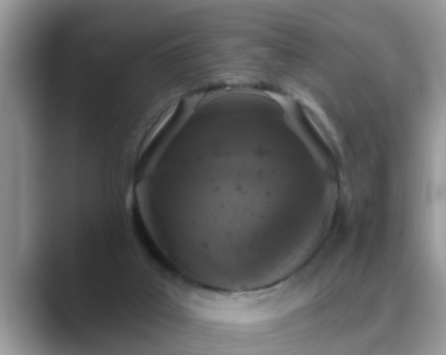 X0000089880019200707051218