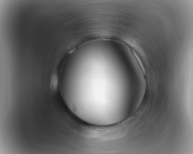 X0000089880021200707051218