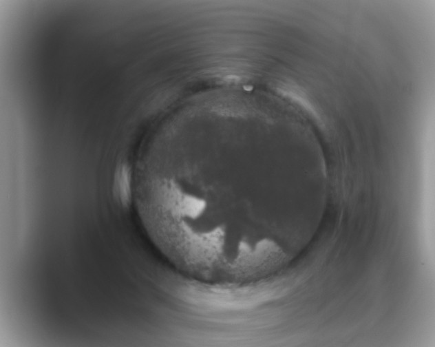 X0000089880022200707051218