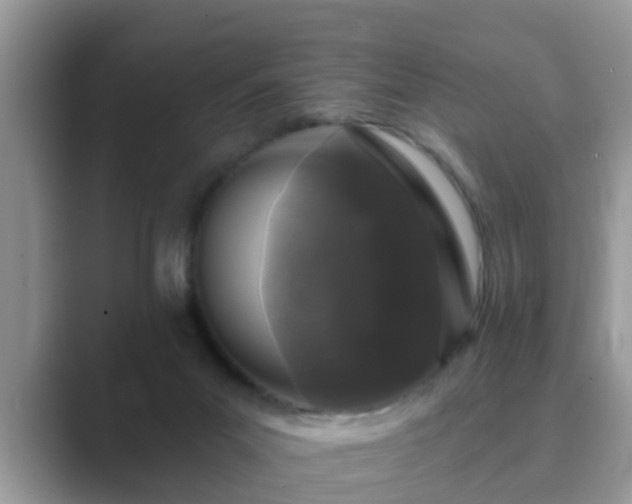 X0000089880023200707051218