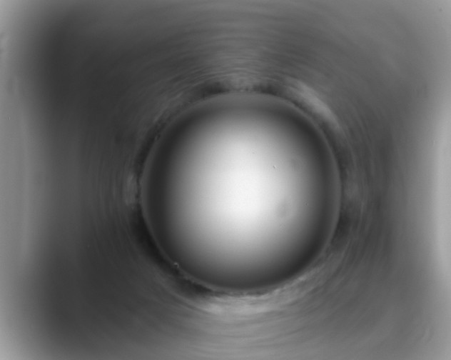 X0000089880025200707051218