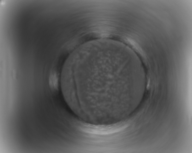 X0000089880026200707051218