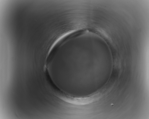 X0000089880027200707051218