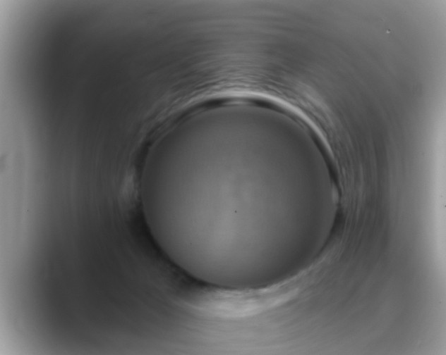 X0000089880029200707051218