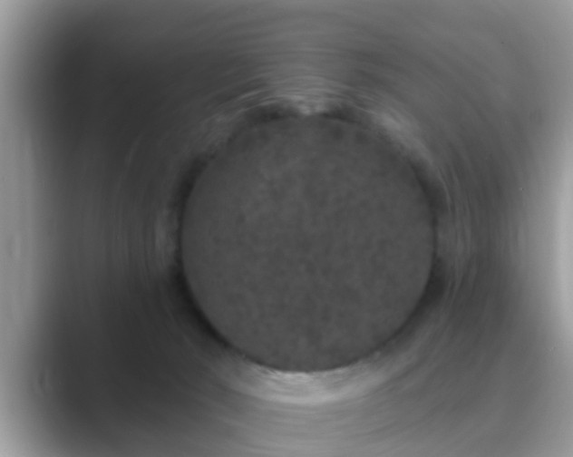 X0000089880030200707051218