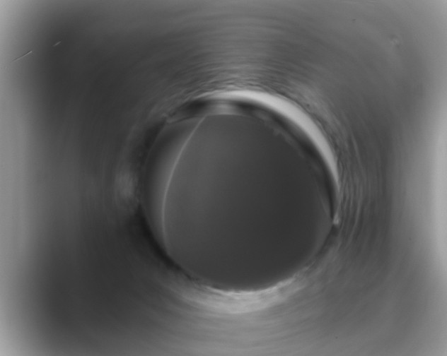 X0000089880031200707051218